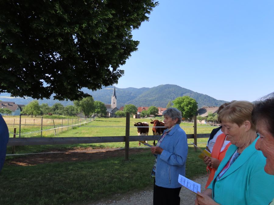 22 06 16 Fronleichnam 11