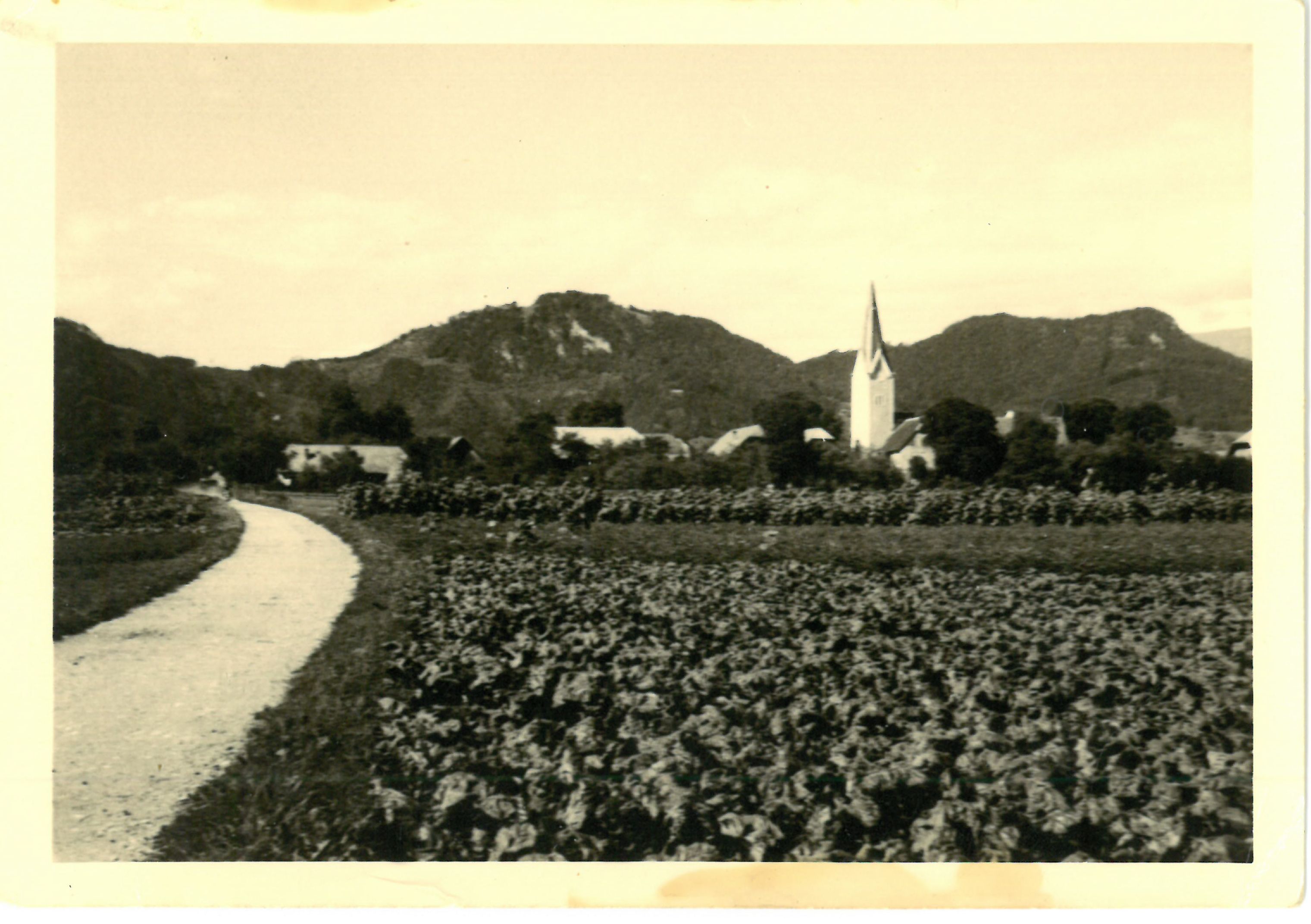Lukner vabek