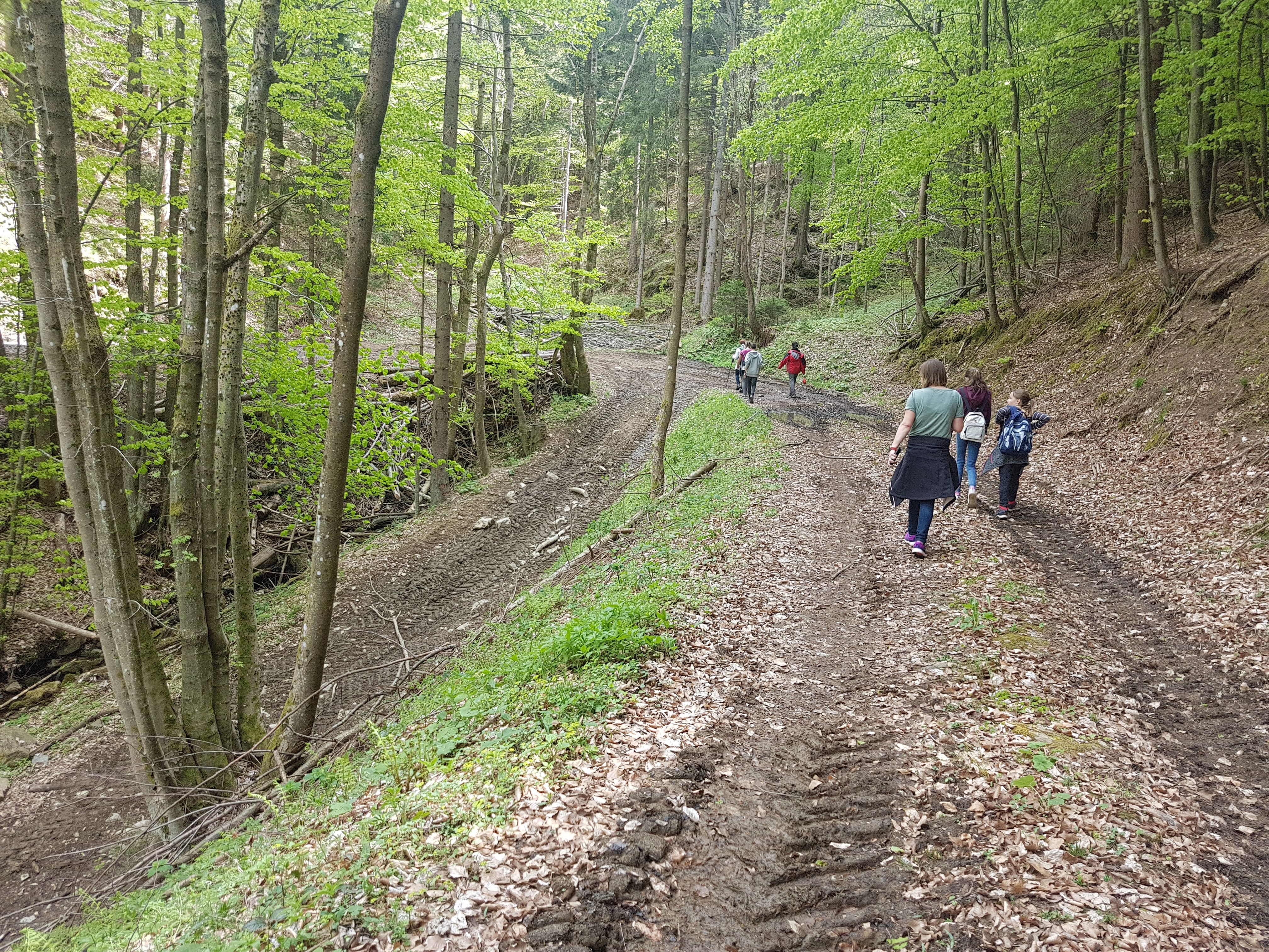 20190427 Wanderung 7